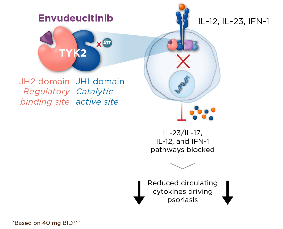 envudeucitinib MOA